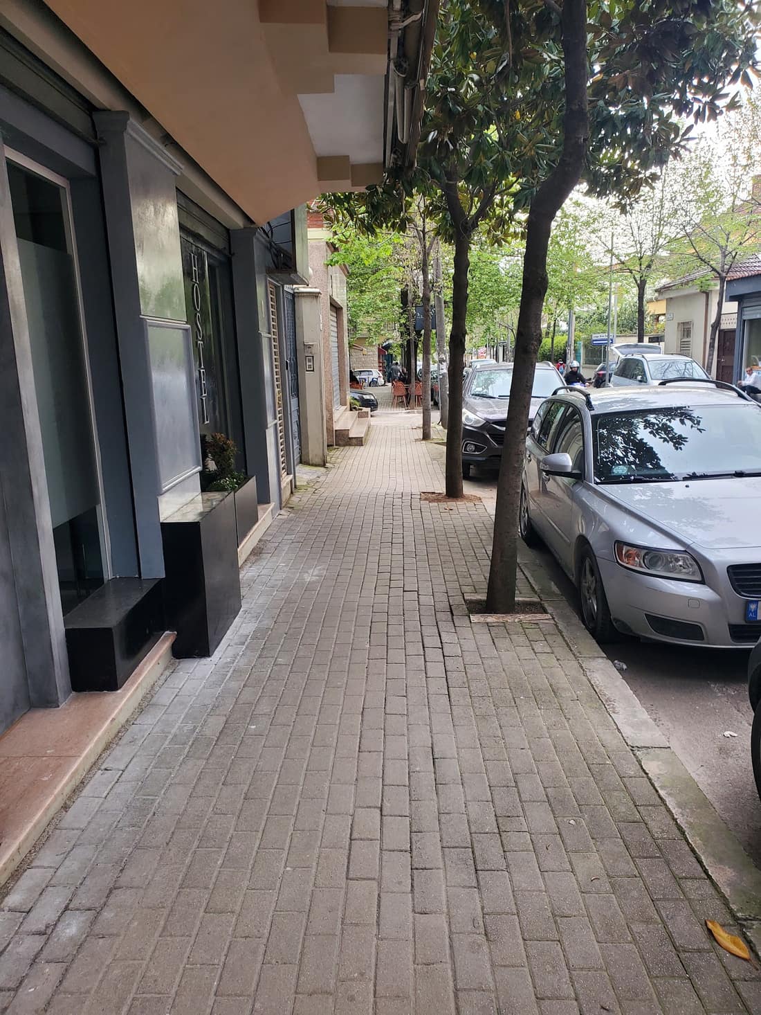 Tree-lined pavement on the street outside the hostel